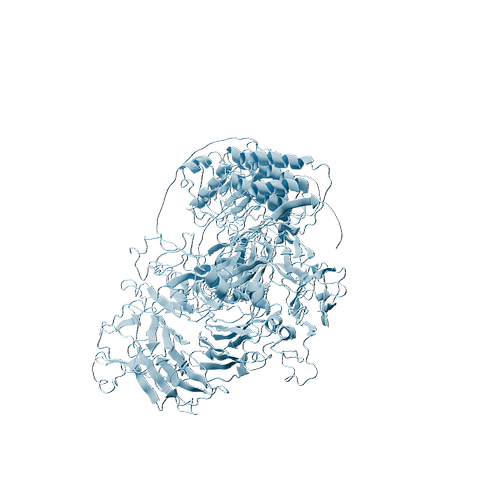 Human HGF R (C-Fc, HEK293)